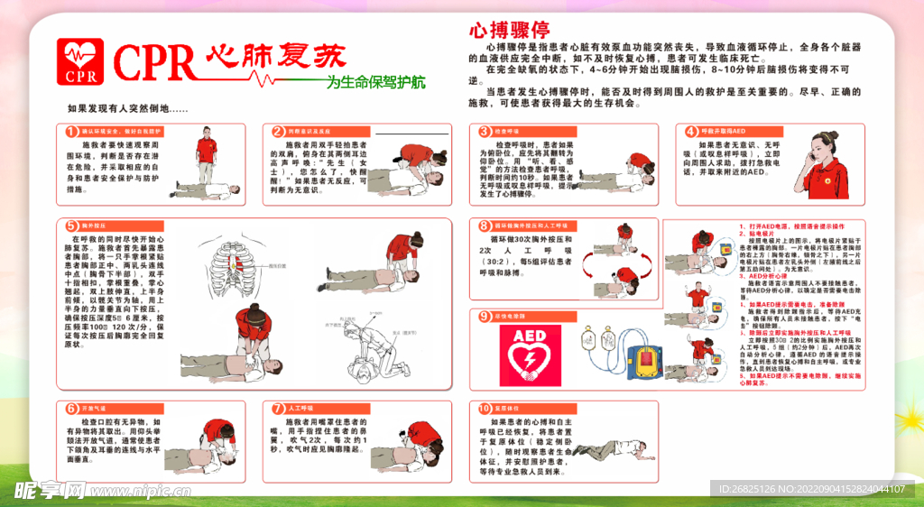 心肺复苏最新版本，拯救生命的最新指南