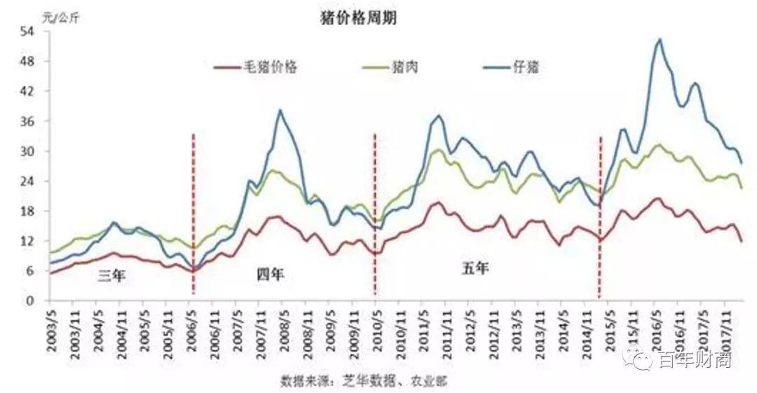 今日猪价最新预测，变化中的机遇与励志力量探索