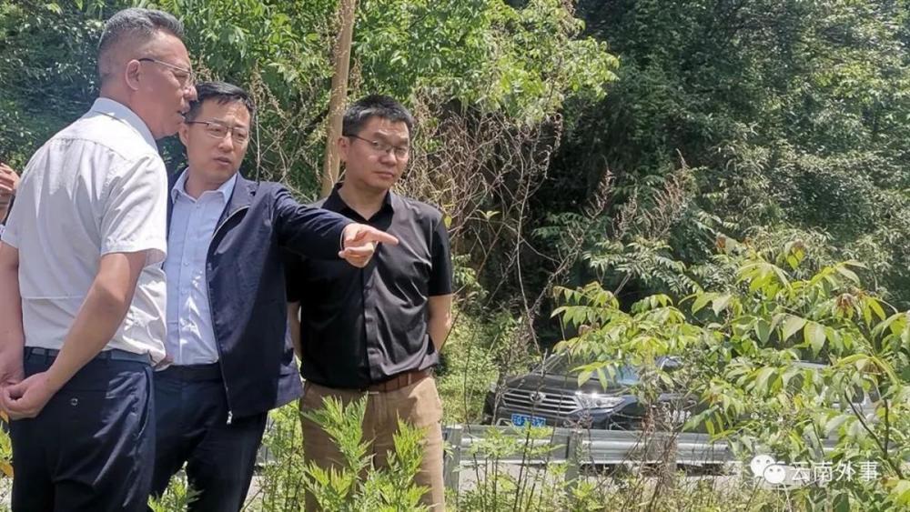 赵立坚的最新动态，日常趣事与情感纽带揭秘