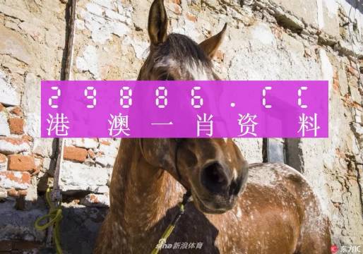 王中王精选4肖中特,王中王三肖选一,专业解读评估_PNE25.262影像处理版