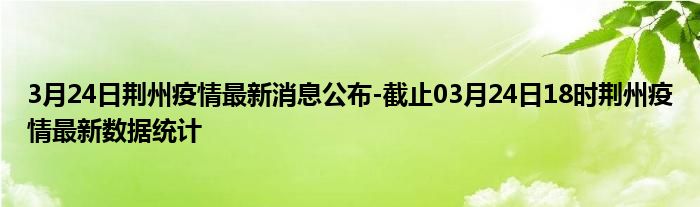 荆州市最新疫情动态更新