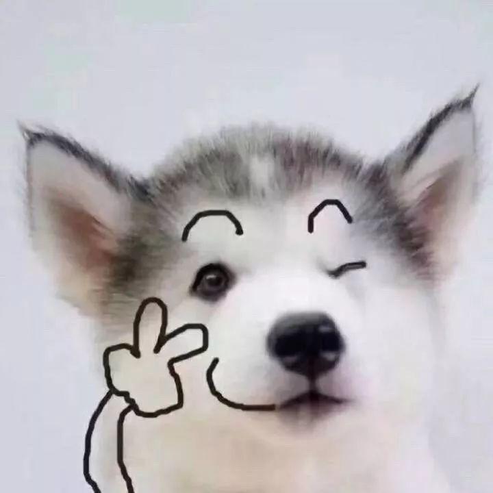 最新指南