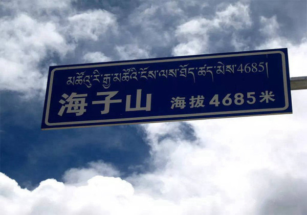 赵吉最新持股揭秘，心灵与自然的神秘交融之旅