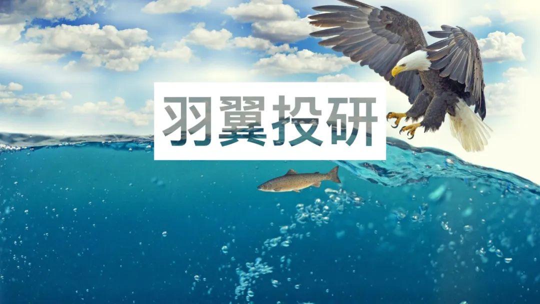 新闻资讯 第99页