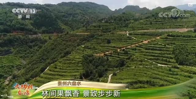 联系我们 第90页