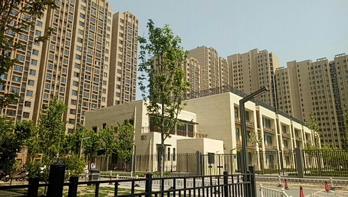 东洲家园最新动态更新