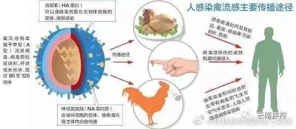 联系我们 第75页