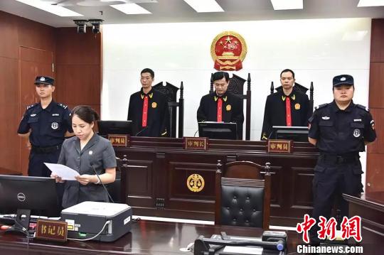 河南最新杀人案件揭秘，温情纽带背后的日常故事