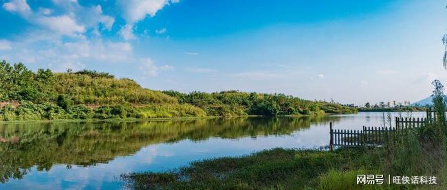 南京江心洲，自然美景探索之旅，寻求内心平和与宁静的最新消息