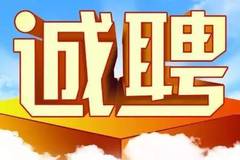 南县招聘网最新招聘信息，友情、机遇与家的温馨交汇点
