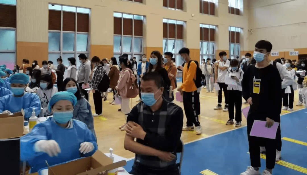 苏刘溢最新消息大全，获取步骤指南